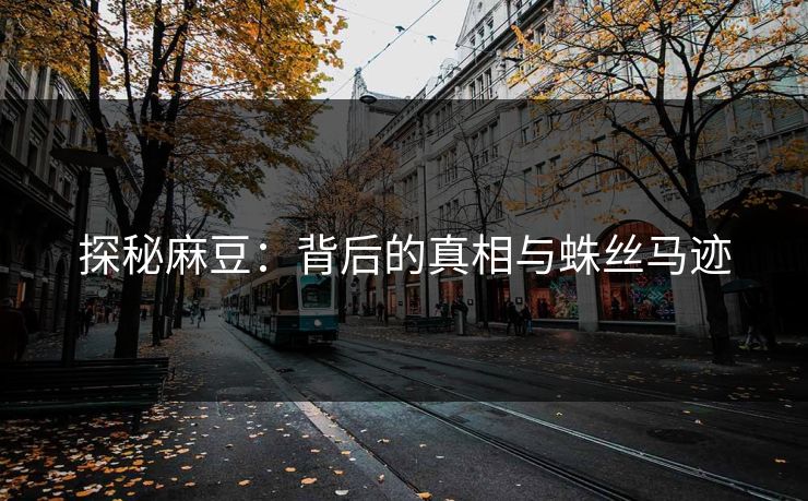 探秘麻豆：背后的真相与蛛丝马迹