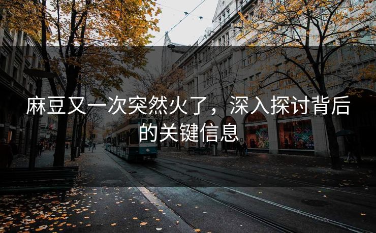 麻豆又一次突然火了,深入探讨背后的关键信息