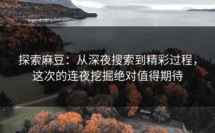探索麻豆:从深夜搜索到精彩过程,这次的连夜挖掘绝对值得期待